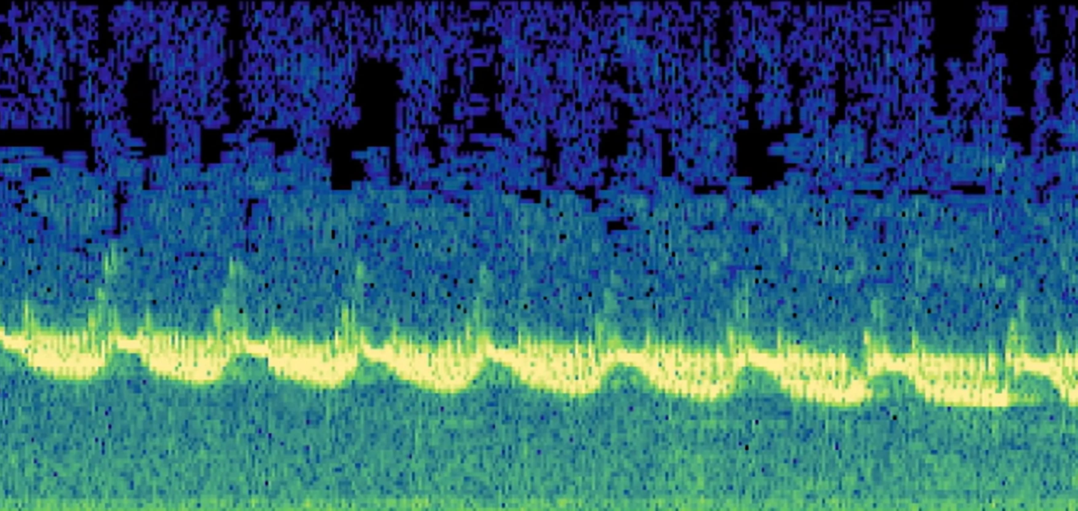 Seismic Event
